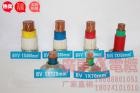 B V V 系列電纜 (含阻燃型、耐...